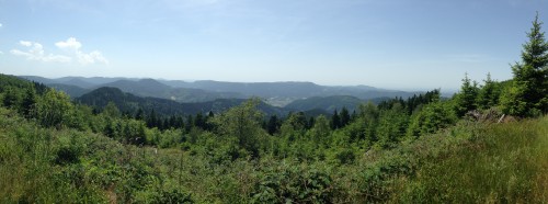 Panoramablick in den Schwarzwald